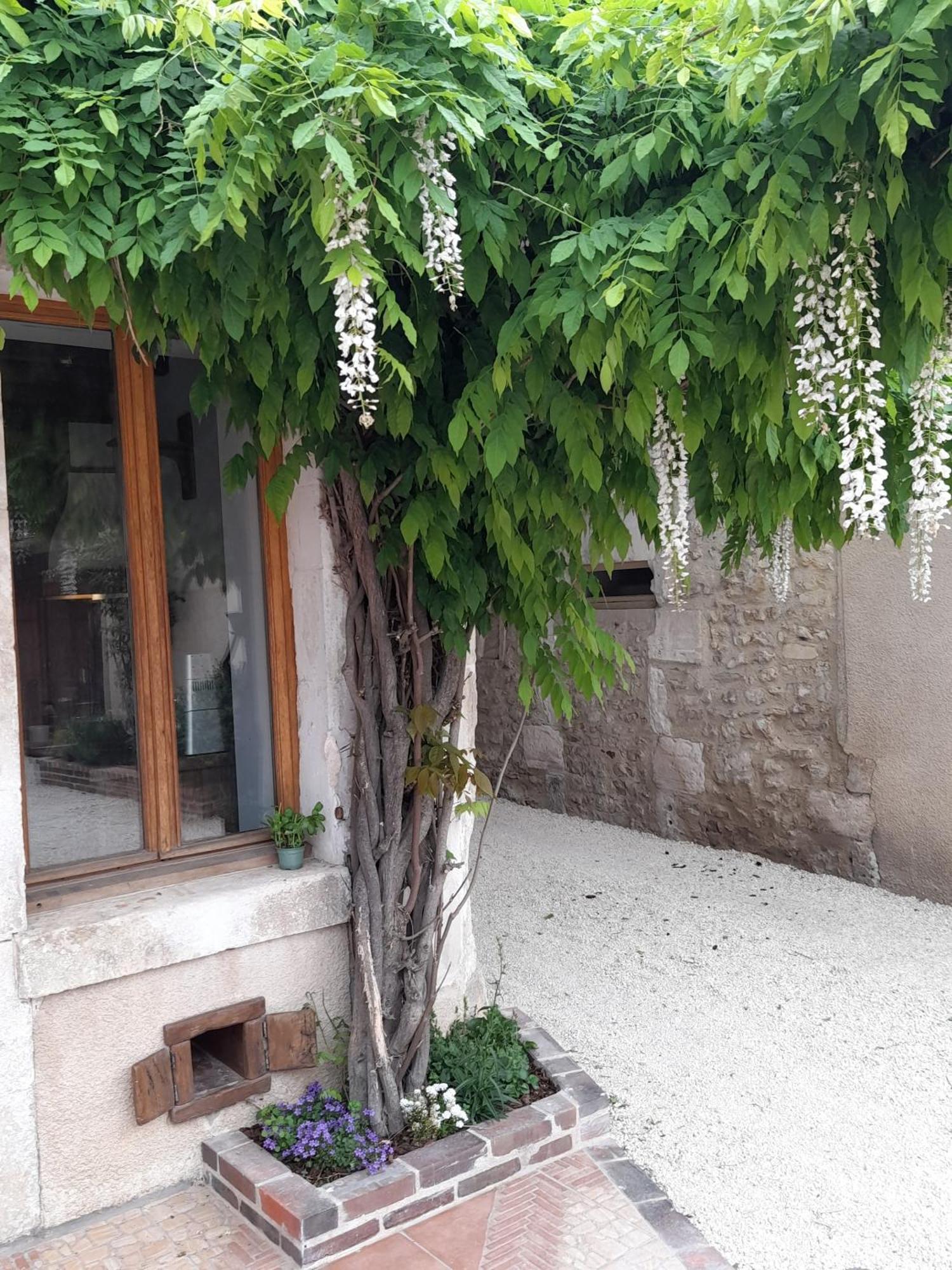 Aux Sources De Ouanne Bed & Breakfast Exterior photo